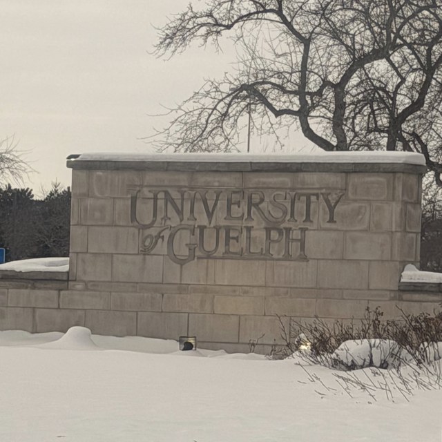 Placa da University of Guelph na neve